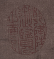 Close-up of Seal